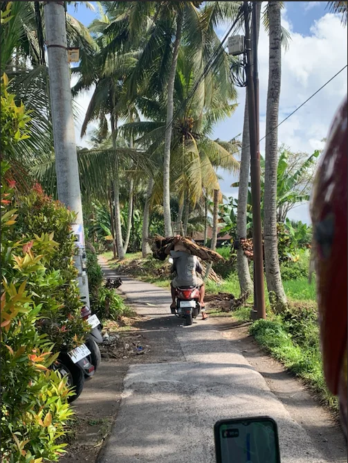Warung dans les rizières d'Ubud, Bali