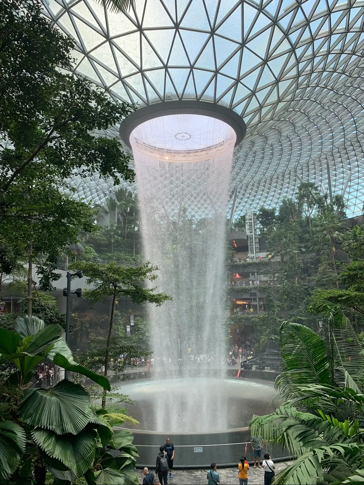 La spectaculaire cascade intérieure Rain Vortex du Jewel Changi Airport, entourée d'une forêt tropicale sous un dôme de verre