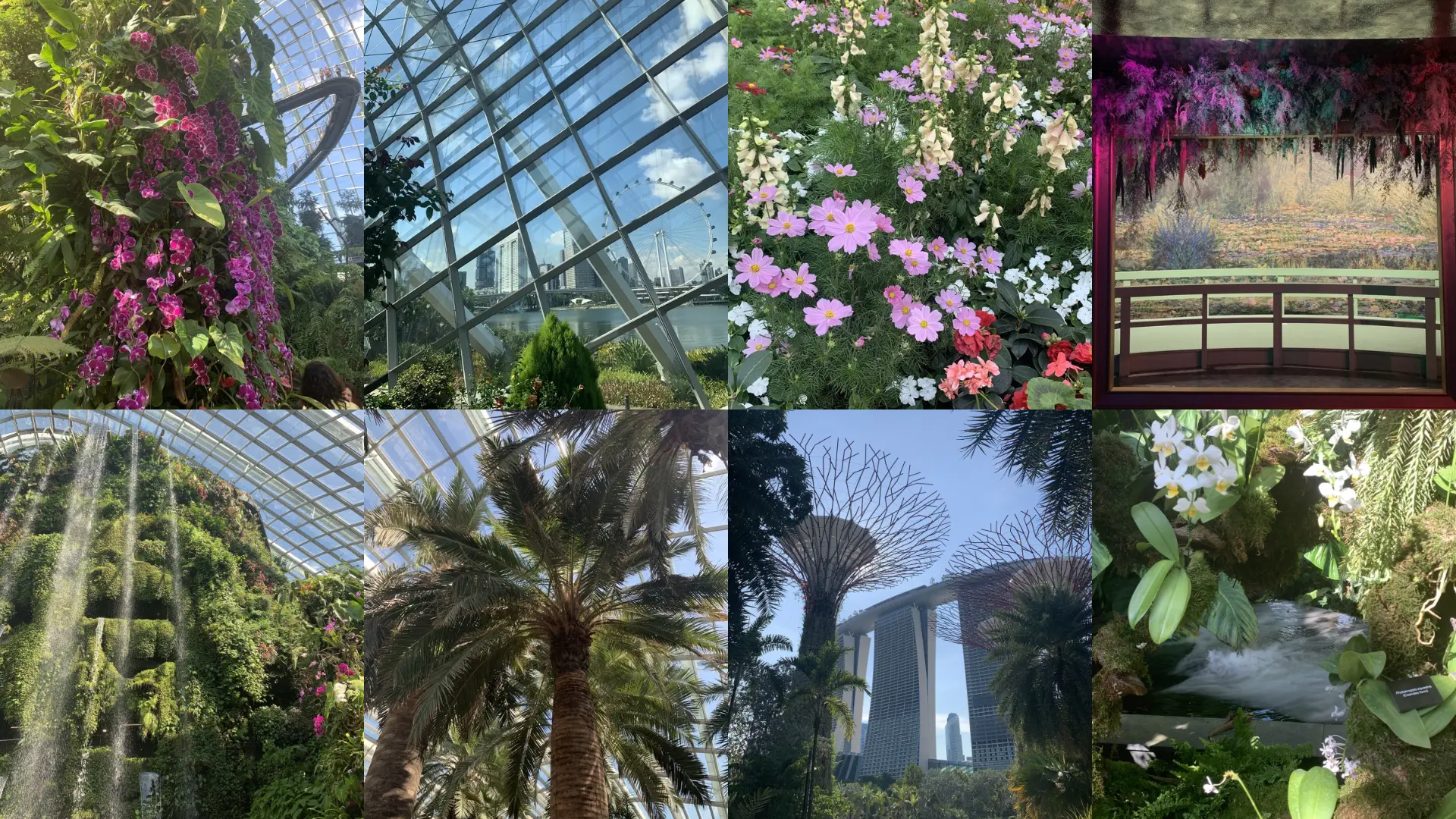 Collage des Gardens by the Bay à Singapour : Flower Dome, fleurs exotiques, Supertrees et Marina Bay Sands en arrière-plan