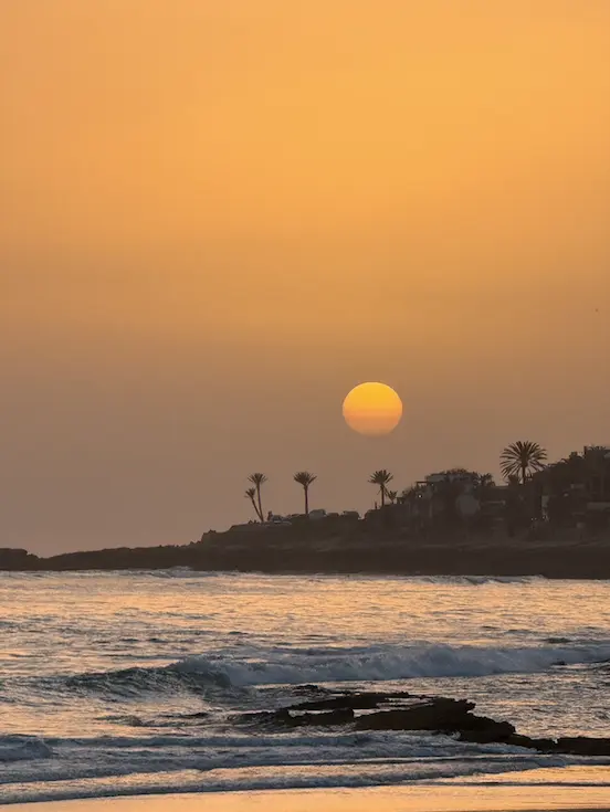 Sunset over the Atlantic from Taghazout Morocco - palm trees and waves