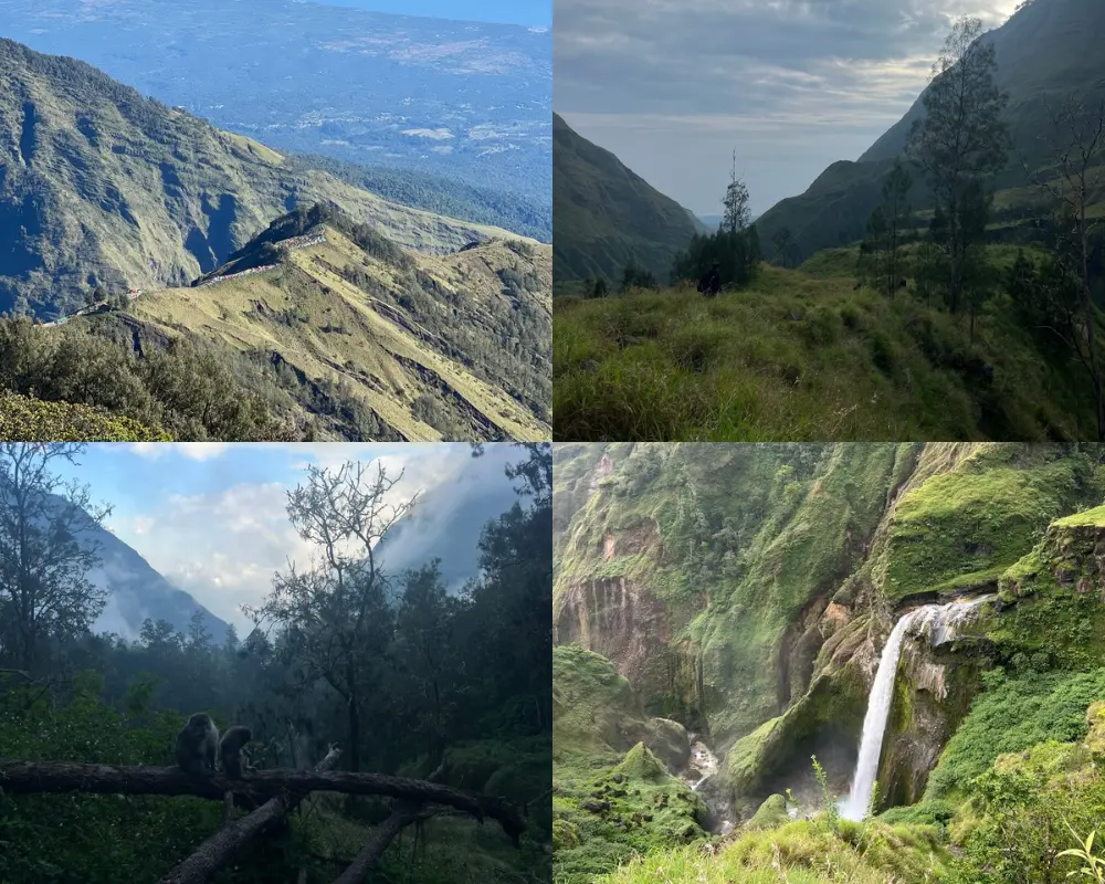Jour 3 du trek Rinjani - vallée verdoyante, singes, cascades sur le chemin du retour